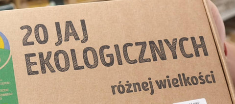 Jajka z supermarketu - jak wybrać najlepsze dla siebie?